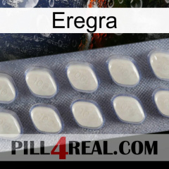 Eregra 08